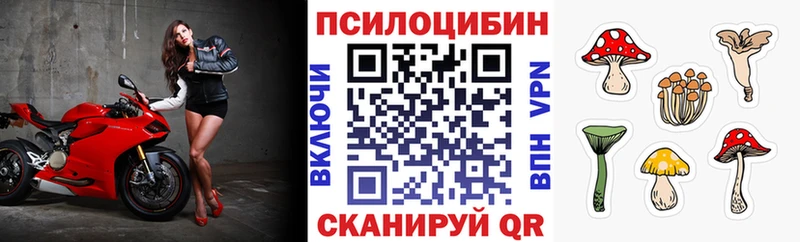 наркота  Рубцовск  мега маркетплейс  Галлюциногенные грибы Psilocybe 